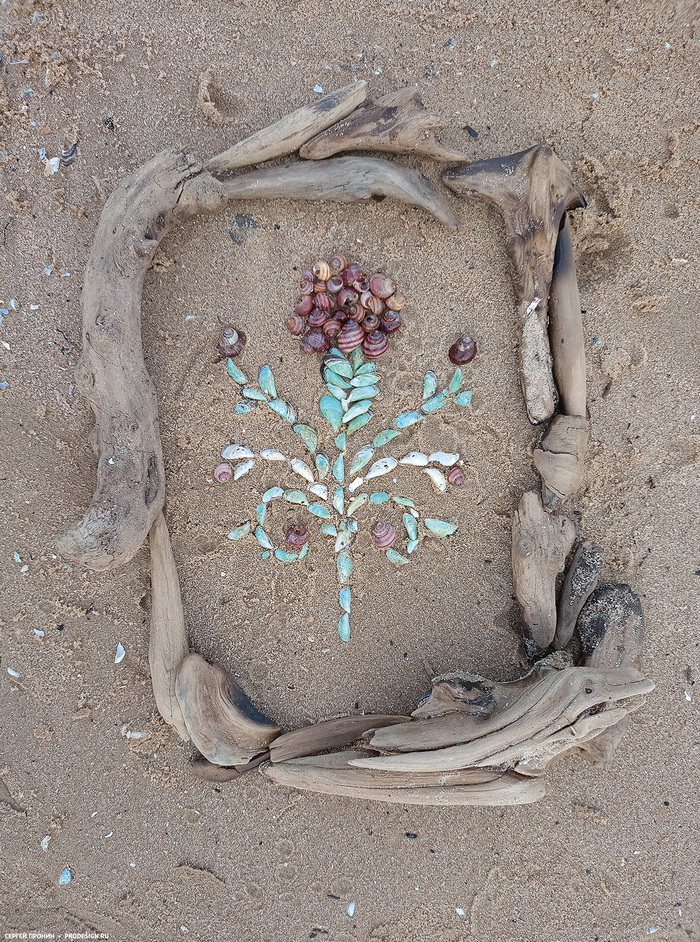 Берег Рыбинского моря