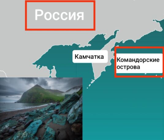 pikabu.ru