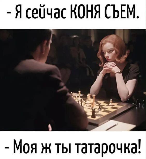    ,   , , ,  -, , Telegram ()