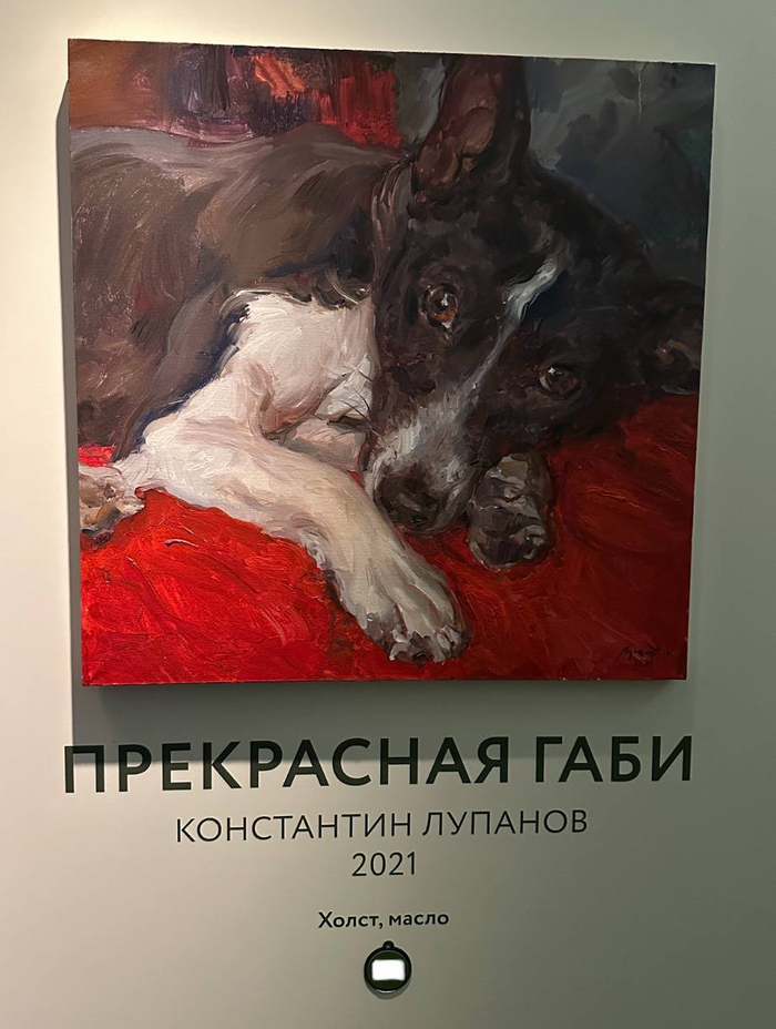    &quot;? ? ?&quot;  MassOn Club