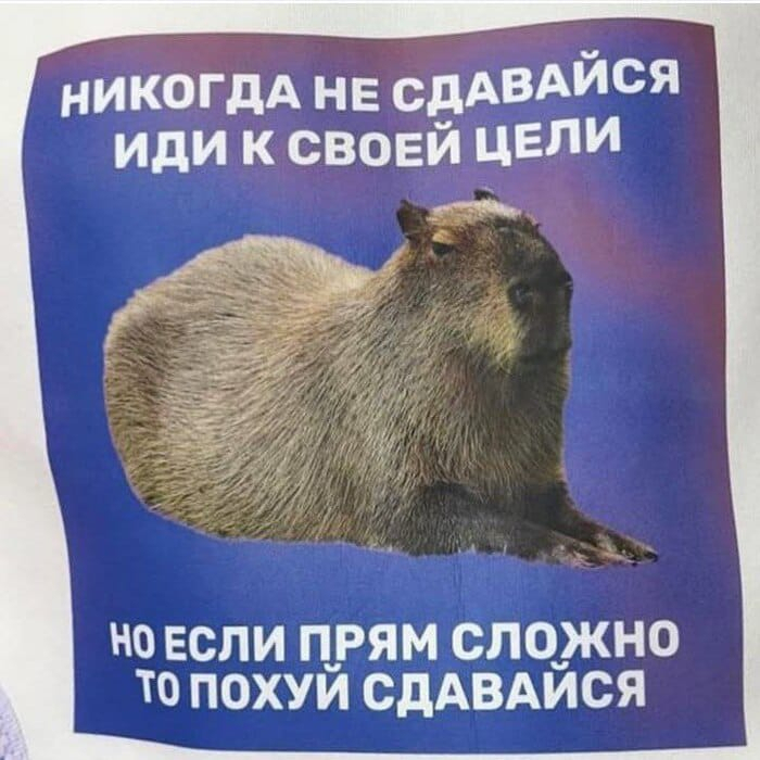           , , , ,  ,  ,   ,   , , 