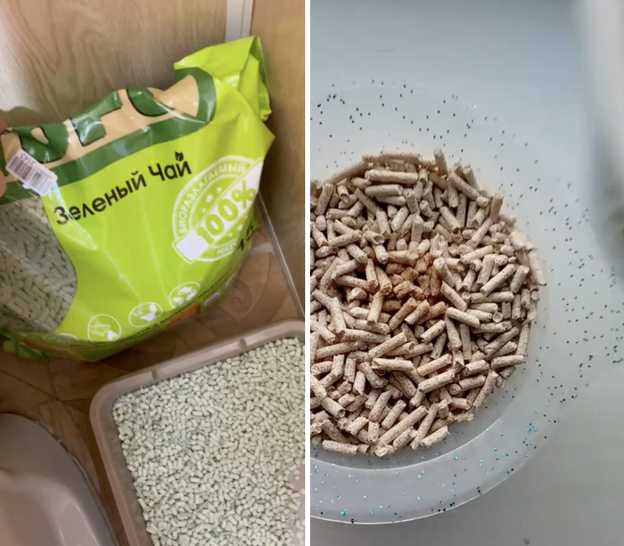 У кошки аллергия? Проверили популярный наполнитель на Озон — делюсь результатом без прикрас