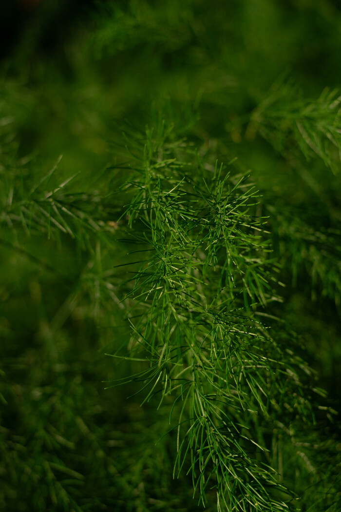 "". iso 100, f-2.8  .