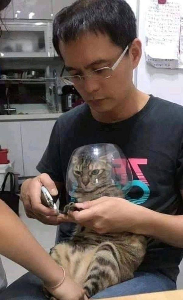 Техника безопасности