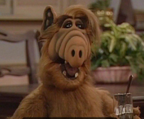 �������� ����� 