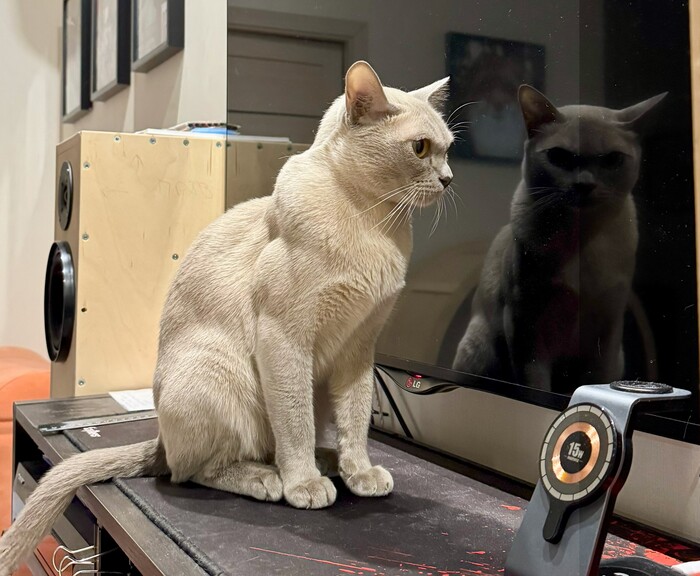 Наблюдает за тобой