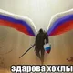   thornn