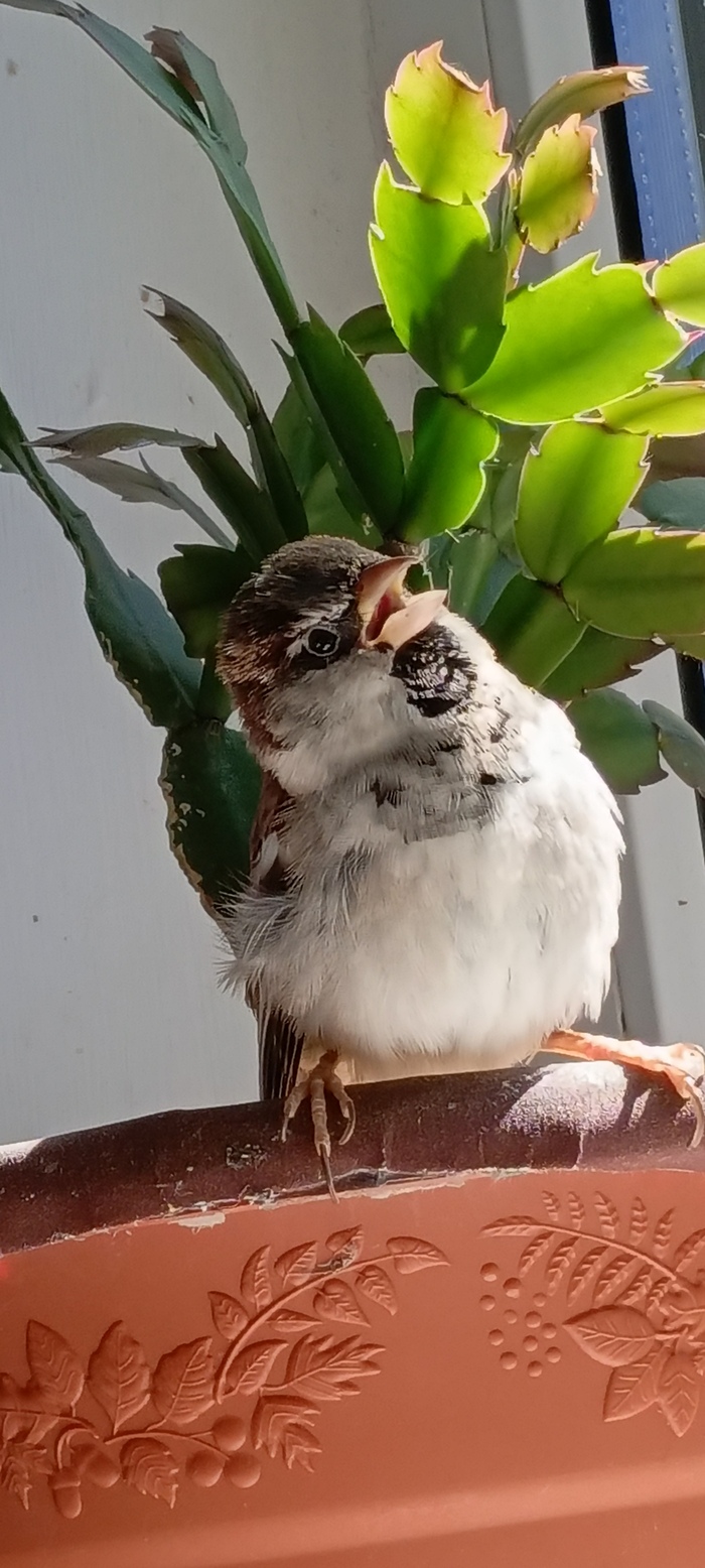 � ��� ��������, � ��� ����� "������", ��� ��� ����� ����� ����� ���������� � �������.