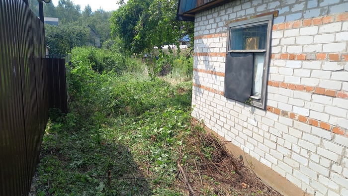 Захотели стать дачниками. Может стареем?) Дача, Делюсь радостью, Мечта, Длиннопост