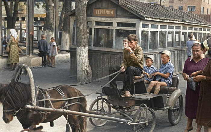 Автор: Казимирчик В. С.