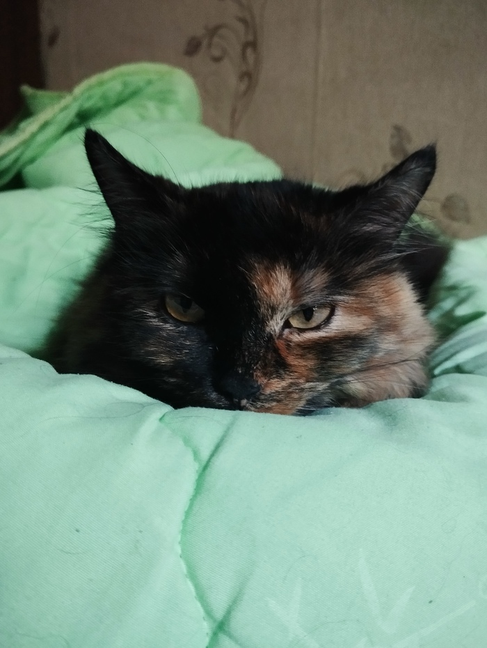    :  , , , , , , ,  , ,  , , 
