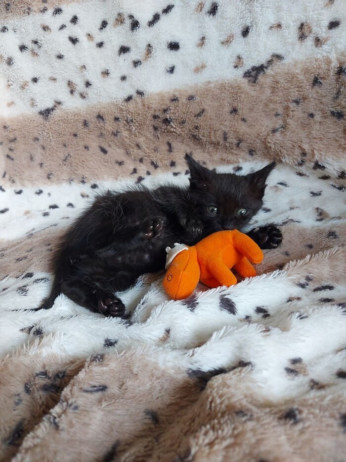 �������� ������ ���� ��������!