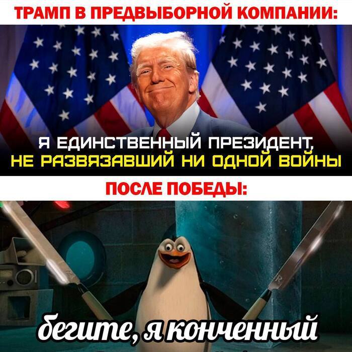 Ответ FlowerCat в «Всё будет, как он сказал!»