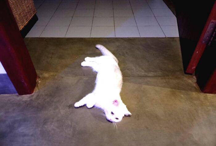   ) -,  , ,  , , 