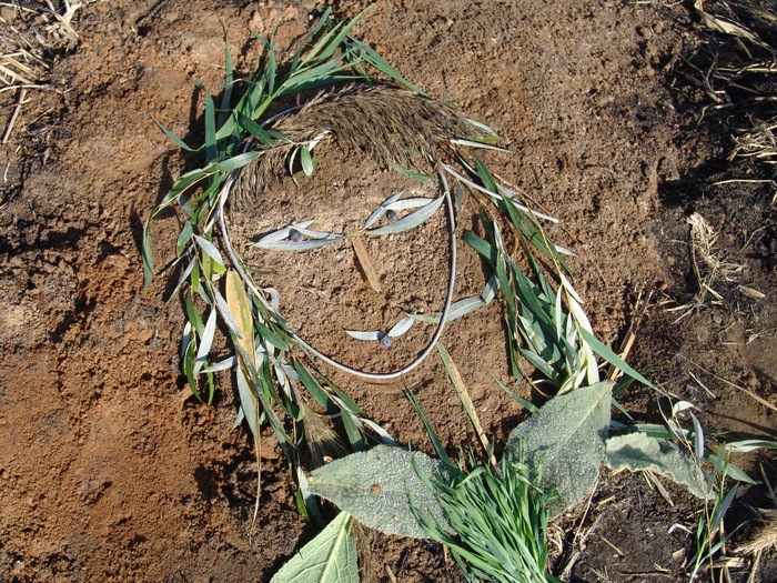 Зато я очень красивая!