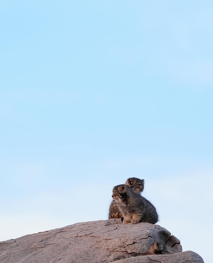 Ты туда бди, а я сюда