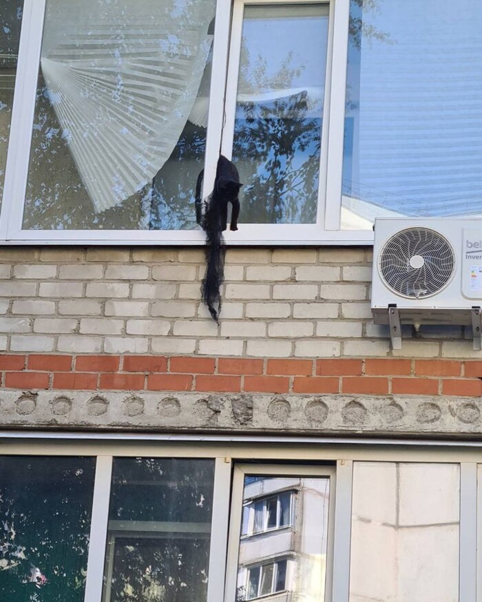 И опять погибло животное из-за бездействия государственных служб спасения