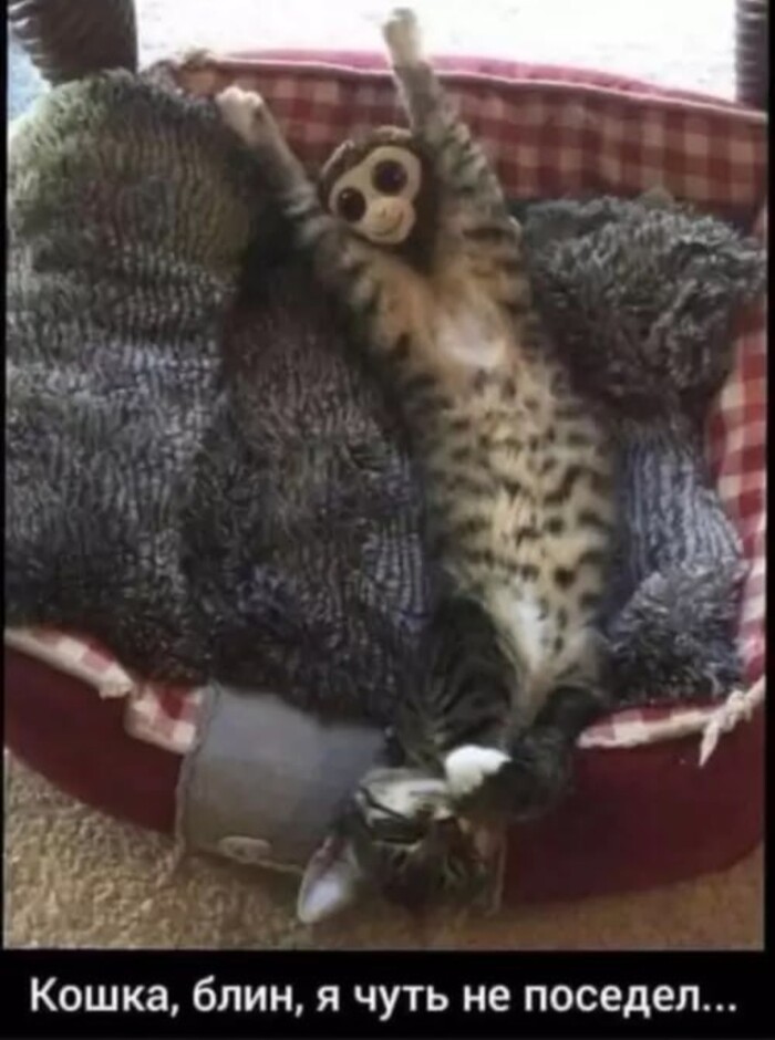   ..?