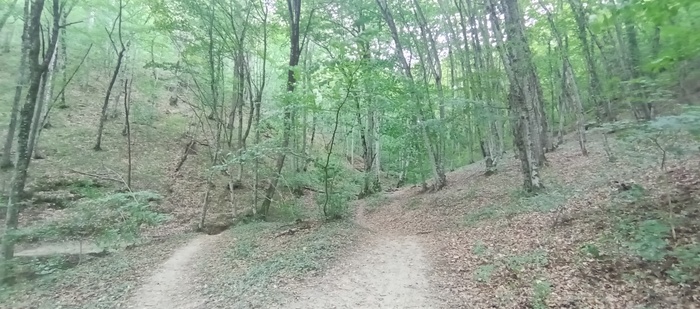 . :  , , , , , 