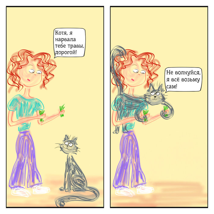  -  ,  , , , , 