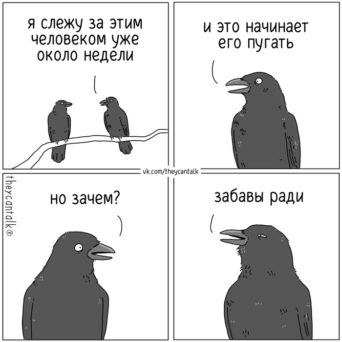  Theycantalk, ,  , ,  , , , Telegram (),  ()