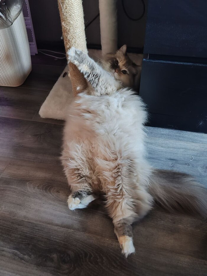   , , , ,  , , , , , , ,  ,  , 