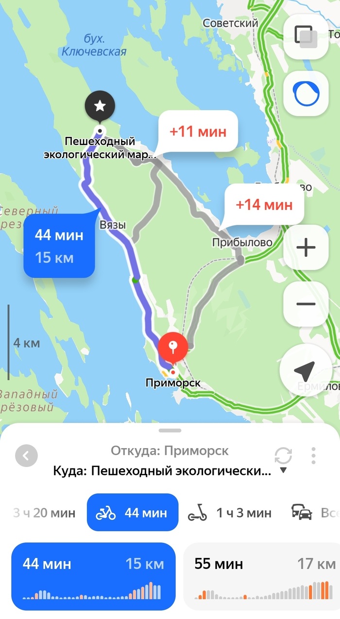 Яндекс никогда не подводит