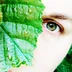 Forest.Soul