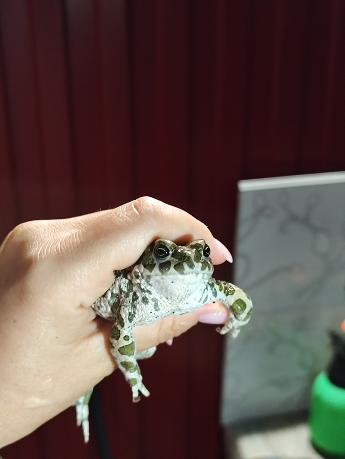 Дожили до среды