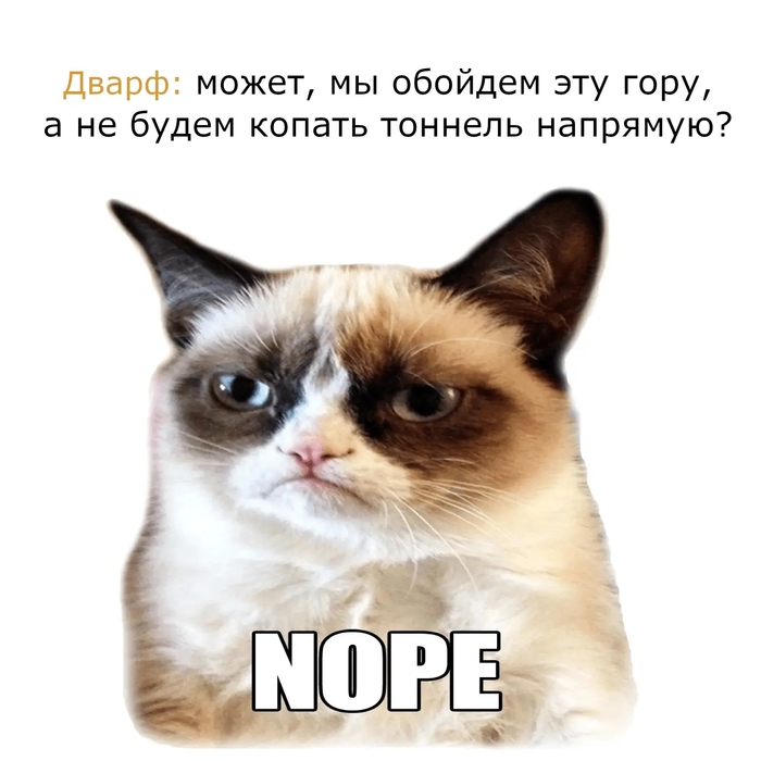     DnD 5, Dungeons & Dragons,  ,   , , Grumpy Cat