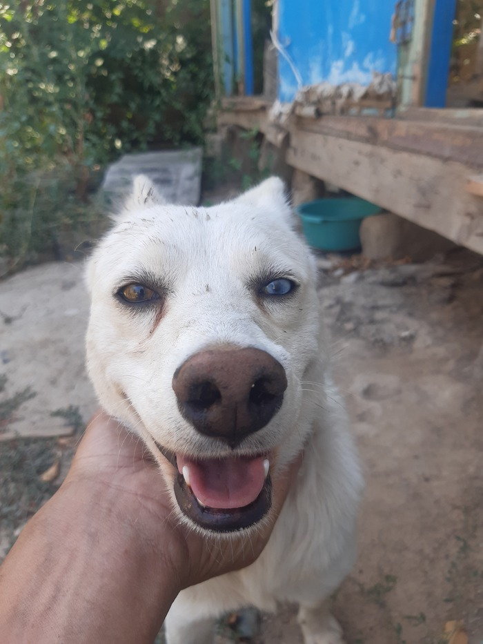  , ,  , 