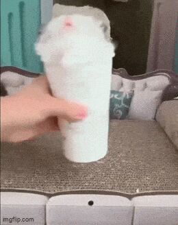   , , , 