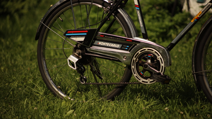 Красивая но потертый временем кожух цепи, и снова видим защиту конька.