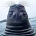 Hellovod