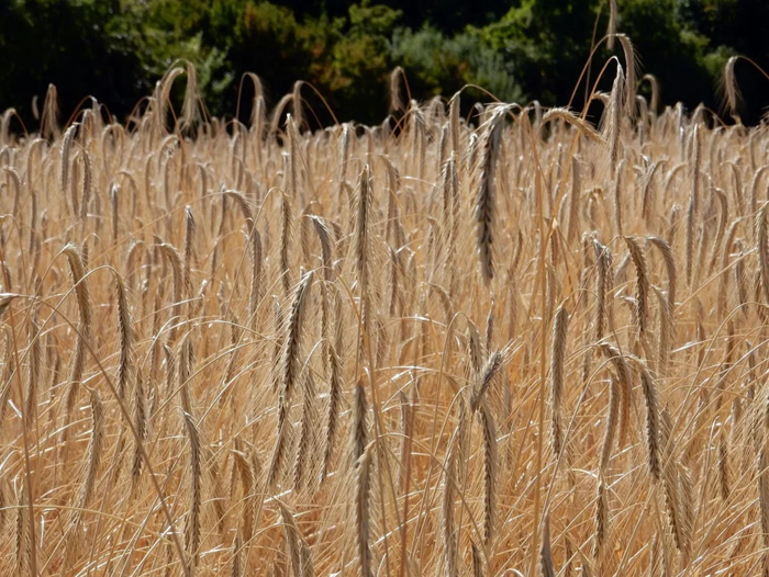     ? , , 