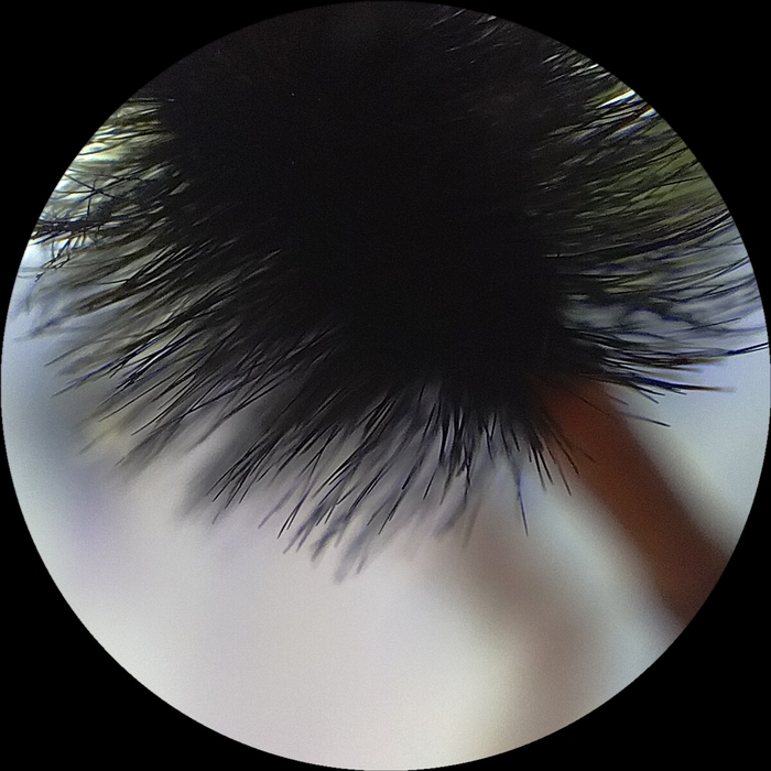  - , , ,  , , -, , ,  , 
