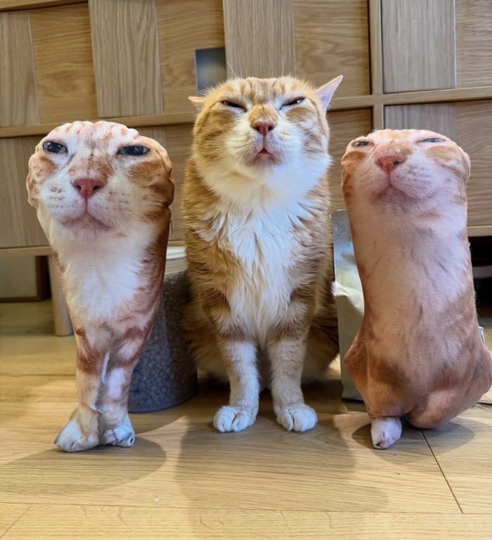   ,        , , , , , , , , , , , , ,  