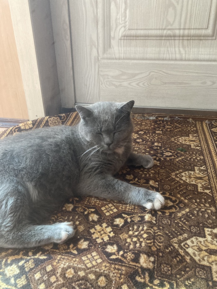 Лежит кайфует делать нечего