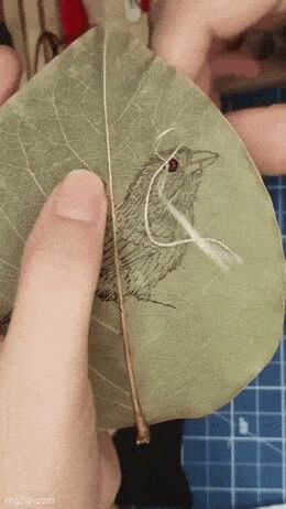   , , , 