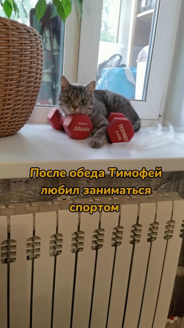      , , ,  , 