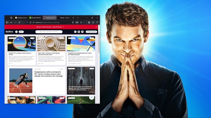     TexTerra, ,   SEO.     .