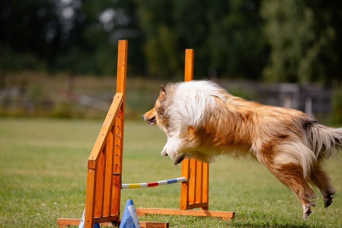 Смотрю на свои фоточки с соревнований и думаю, чего это я так козлила на трассе