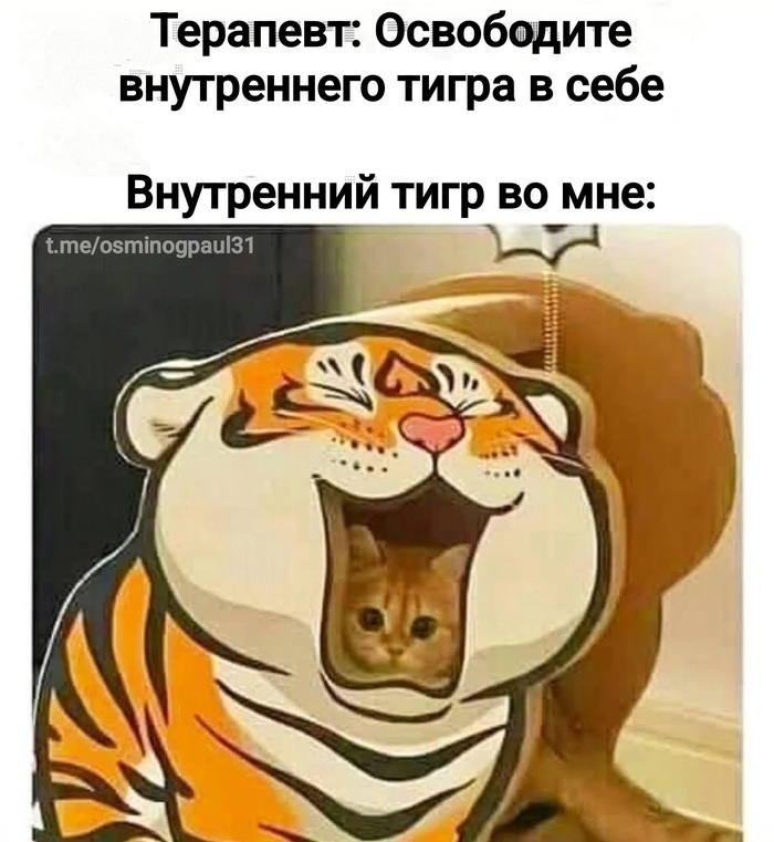   ,   , , , , ,  