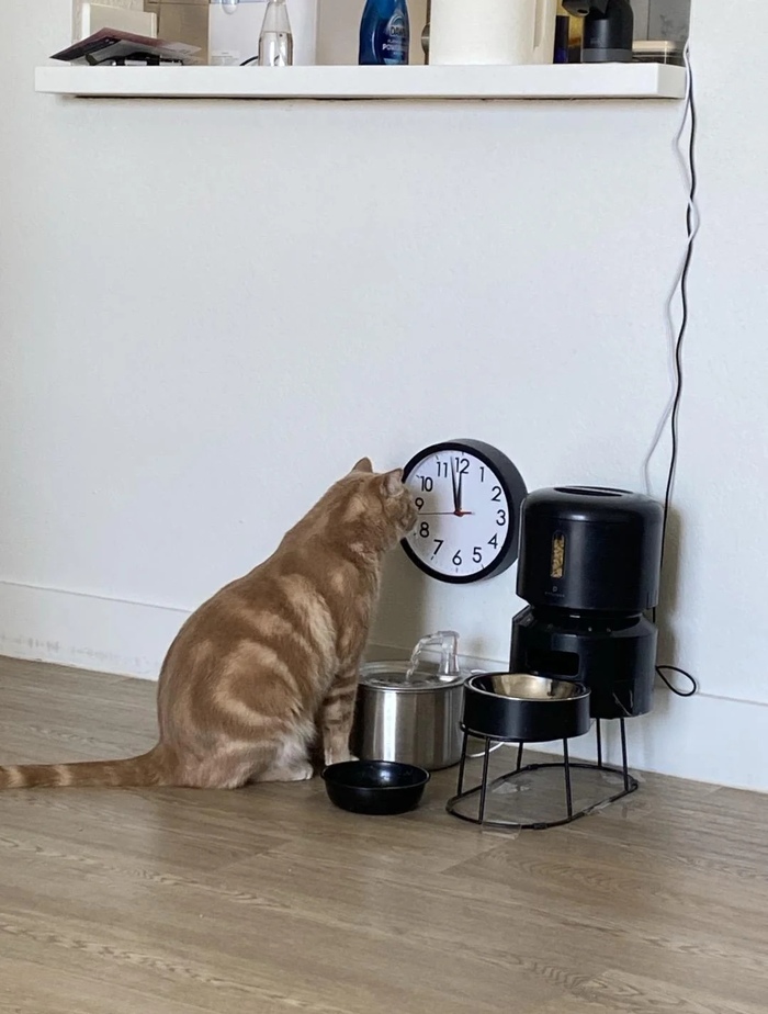   ? , , , , , 
