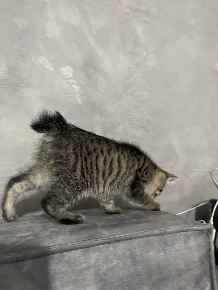      , ,  , , , , 