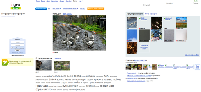     Instagram' (   ,      )