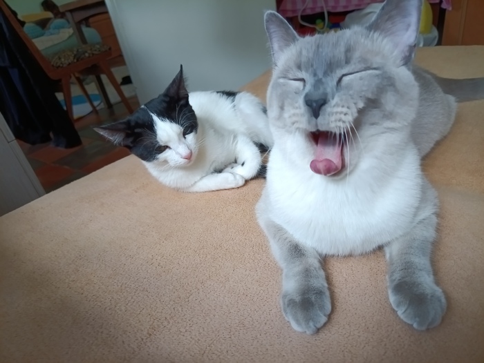    , ,  