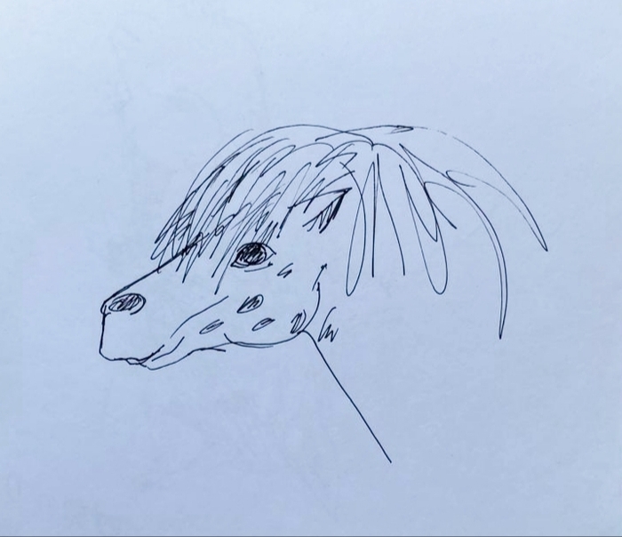 Аппалуза Пони