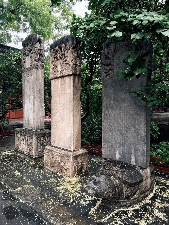 Храм Фаюань, Пекин - Серия Beijing, Моё, Достопримечательности, Храм, Китай, Пекин, Буддизм, Интересные места, Путешествия, Видео, Вертикальное видео, Короткие видео, Длиннопост