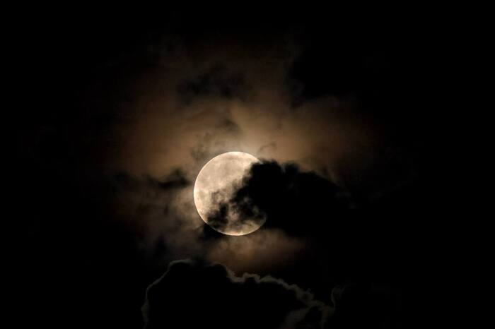 Canon r50 + rf 100-400